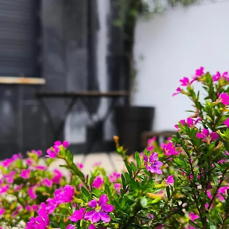 Camino Do Mar * 바이오나