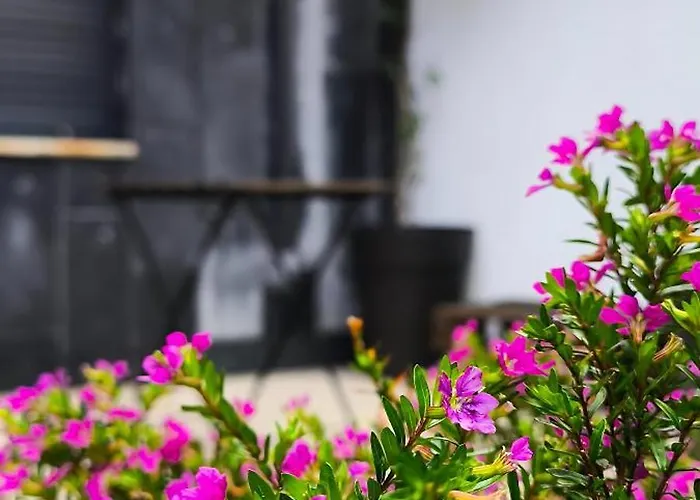 Camino Do Mar * Baiona